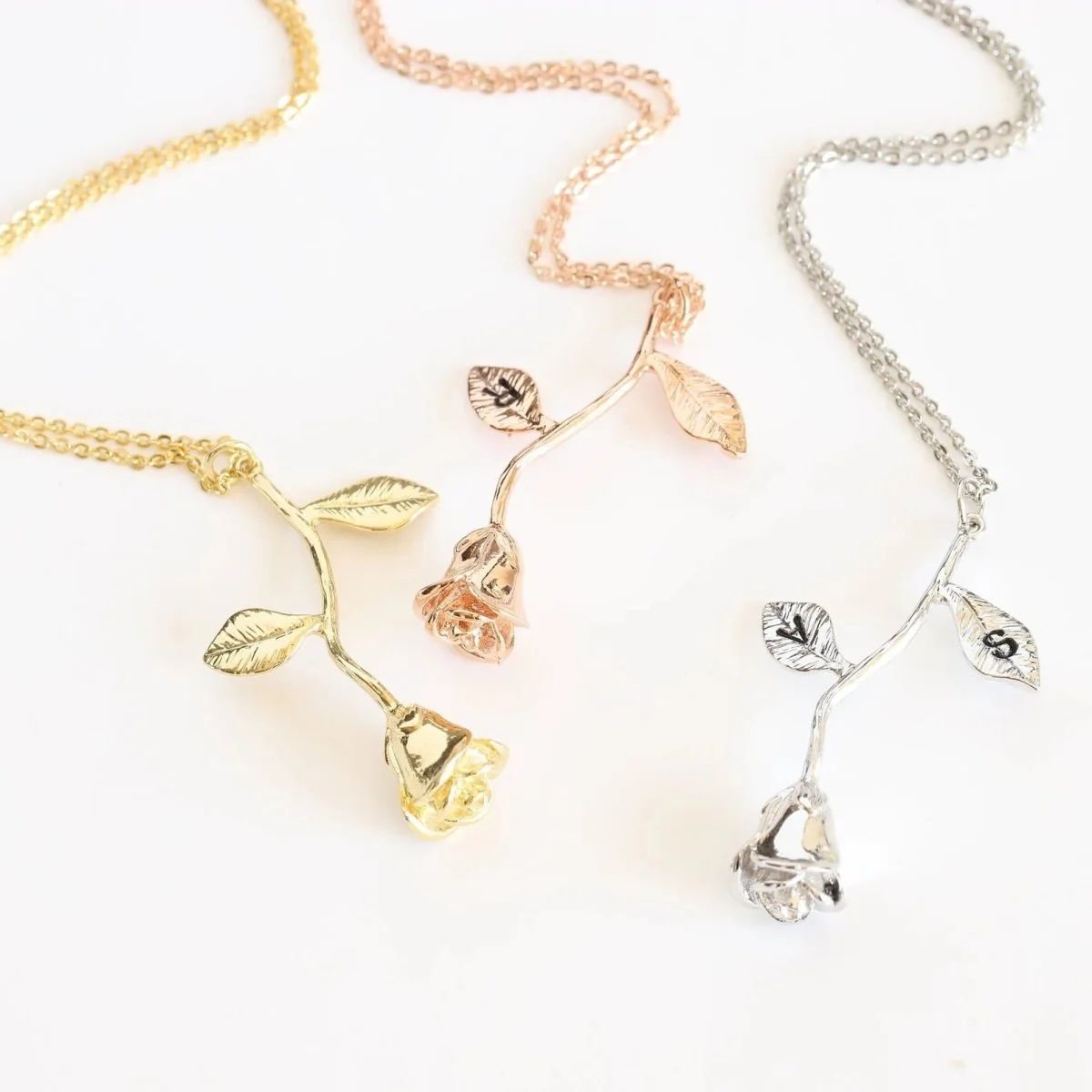 Coming Up Roses - Image 6